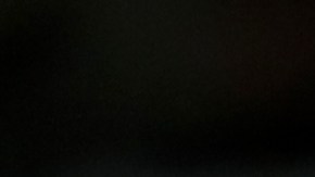 Golden State Warriors v Charlotte Hornets