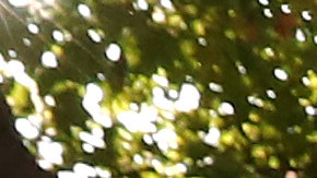 MELBOURNE, AUSTRALIA - FEBRUARY 27: Cardinal George Pell arrives at Melbourne County Court on February 27, 2019 in Melbourne, Australia. Pell, once the third most powerful man in the Vatican and Australia's most senior Catholic, was found guilty on 11 December in Melbourne's county court, but the result was subject to a suppression order and was only able to be reported from Tuesday. The jury was unanimous in their verdict, finding Pell guilty on five counts of child sexual assault in December 1996 and early 1997 at St Patrick's Cathedral.  (Photo by Michael Dodge/Getty Images)