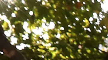 MELBOURNE, AUSTRALIA - FEBRUARY 27: Cardinal George Pell arrives at Melbourne County Court on February 27, 2019 in Melbourne, Australia. Pell, once the third most powerful man in the Vatican and Australia's most senior Catholic, was found guilty on 11 December in Melbourne's county court, but the result was subject to a suppression order and was only able to be reported from Tuesday. The jury was unanimous in their verdict, finding Pell guilty on five counts of child sexual assault in December 1996 and early 1997 at St Patrick's Cathedral.  (Photo by Michael Dodge/Getty Images)
