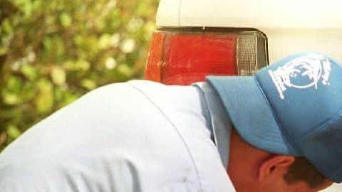 La aplicación del Departamento puede actualizar la placa de hasta 5 autos con una sola transacción