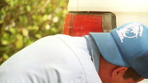 La aplicación del Departamento puede actualizar la placa de hasta 5 autos con una sola transacción