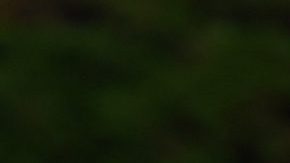 El galés Gareth Bale está más entusiasmado por el golf que por lo que se viene en su futuro futbolístico.