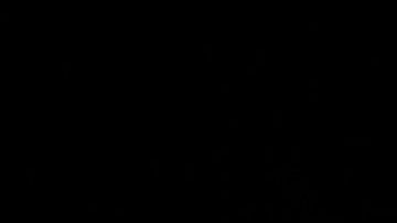 El presidente Trump desestimó el reporte de Robert Mueller.