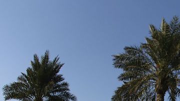 Nicole Hanselmann fue la más afectada de la competencia, pues terminó en el lugar 74