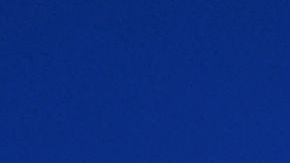 Hay latinos que rechazan a inmigrantes.