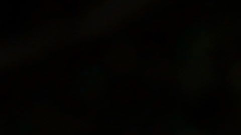 La primera dama Melania Trump y su hijo Barron.