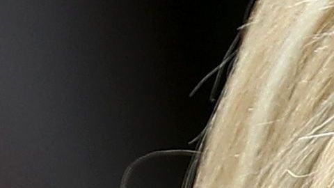 Ivanka Trump y Jared Kushner entre rumores de una ruptura.