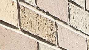 El hambre, la insalubridad y el hacinamiento está perjudicando la salud de miles de migrantes.