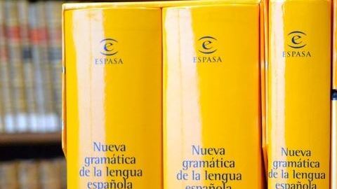 La Real Academia Española considera el masculino genérico.