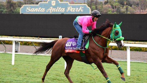 hipódromo Santa Anita