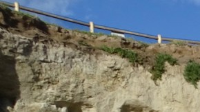 Es la primera vez que se ve en California este raro pez.