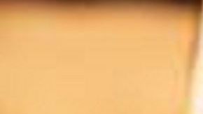 ICE refuerza su programa 287(g).