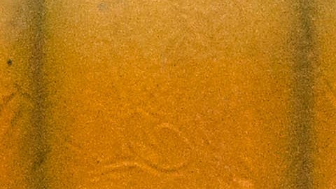 Miguel Herrera defiende y elogia a su compatriota Hugo Sánchez