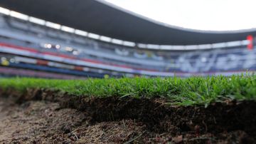 El estadio Azteca cambiará otra vez su césped, para recibir a la NFL