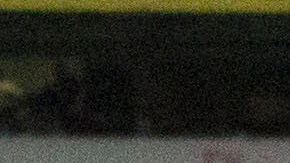 Orbelín Pineda le apretó los genitales a Pablo Aguilar durante la foto oficial