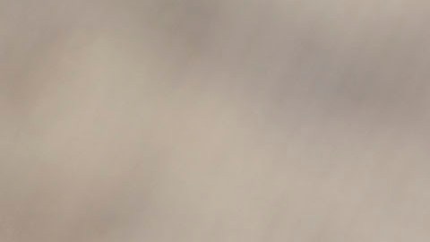 El técnico Gerardo Martino advierte que hará respetar a la Selección Mexicana