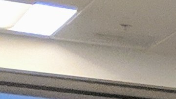 Cientos de personas llegaron a un taller para conocer cómo funciona el programa CalABLE que permite ahorrar dinero a las personas con discapacidades. (Jacqueline García / La Opinión)