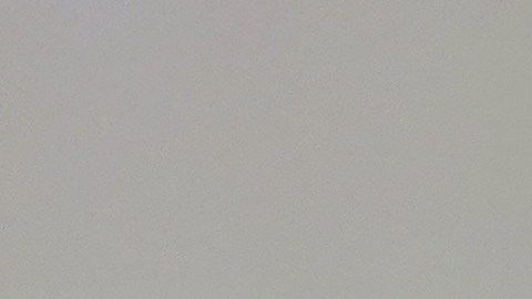 La vivienda temporal de Hollywood cuenta con 70 camas para albergar a hombres y mujeres adultos con o sin mascotas. (Jacqueline García)