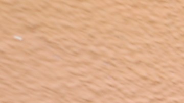 Charles Segura pernocta junto a sus tres mascotas en el Este de Los Ángeles. / fotos: Jorge Luis Macías.