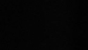 Jared Kushner quiso presionar al presidente mexicano López Obrador sobre asuntos migratorios.