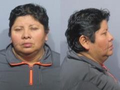 Concepción Malinek enfrenta varios cargos en su contra