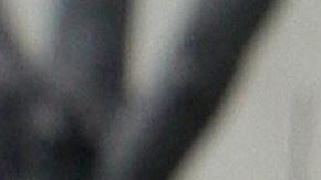 La Primera Enmienda de la constitución estadounidense permite que cualquier persona registre en público a los agentes de la ley en servicio.