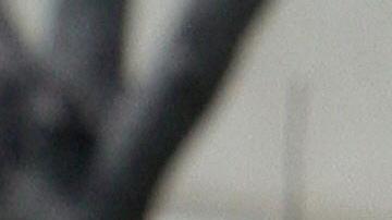 La Primera Enmienda de la constitución estadounidense permite que cualquier persona registre en público a los agentes de la ley en servicio.