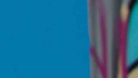 Una escena de "No Manches Frida 2".