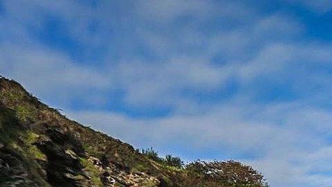 Las ostras que sobreviven y crecen en aguas con altos niveles de acidez desarrollan una concha más pequeña y frágil que se rompe con mayor facilidad.