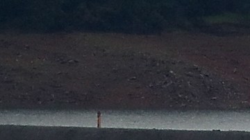 La crisis comenzó en febrero del 2017 cuando se presentó una fuga de agua provocada por un agujero de grandes proporciones en la represa Oroville.