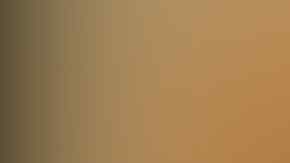 La mayoría de los asaltos ocurrieron en 2000 cuando Barto obtuvo su licencia médica,