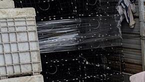 Un pescador recoge pescado en bolsas de plástico este martes frente a un almacén en el puerto de la bahía de Monterey en el norte de California.