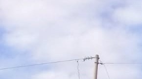 El chofer del autobús denunció los hehcos.