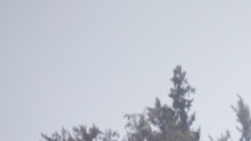 El primer vuelo comercial desde Oakland con dirección Honolulu, despegó este domingo.