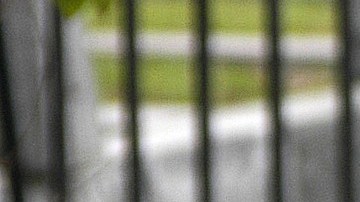 police-line-3953745_1920