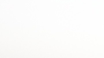 Mariachis en Palacio Nacional.