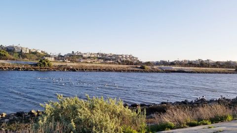 El agua del Ballona Creek ha alcanzado niveles altos gracias a la lluvia de esta temporada invernal. Foto capturada en febrero 2018.