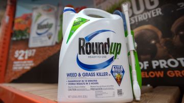 Una vez concluido que Roundup fue un "factor substancial" en el cáncer de Hardeman, el proceso avanza ahora a la fase en la que el jurado debe decidir si Monsanto es responsable de ello.