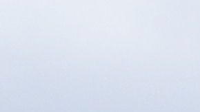 Defensores de los derechos de los animales protestan por la muerte de  caballos de carrera en los primeros dos meses de este año en el Hipódromo de Santa Anita de Arcadia.