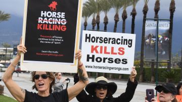 Defensores de los derechos de los animales protestan por la muerte de  caballos de carrera en los primeros dos meses de este año en el Hipódromo de Santa Anita de Arcadia.