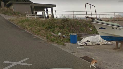 Perro Google Maps