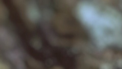 Los estafadores buscan confundir a la víctima y producir emociones de miedo y frustración. Imagen ilustrativa.