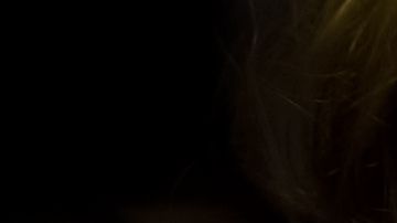 Los servicios de apoyo para perder peso son muy eficaces en la batalla contra la balanza.