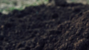 Madre descubre a su hijo enterrando a su hermano