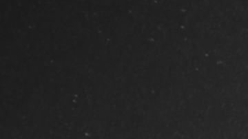 shutterstock_276043097 (1)