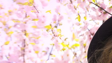 Cabello primavera