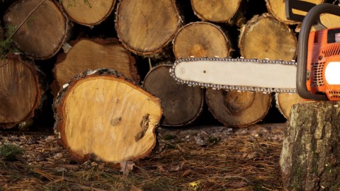 Amputación cobro seguro