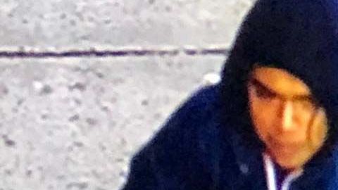 El sospechoso aparece en videos de cámaras de seguridad.