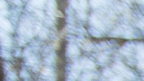 Cientos de personas han salido a la calle para protestar por la muerte de Stephon Clark en marzo del 2018.