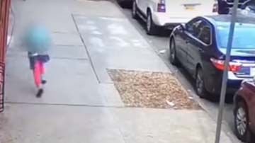 El sujeto disparó a plena luz del día.